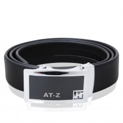 AT-Z LH2943 