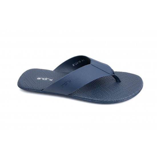 andry LH2909