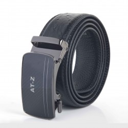 AT-Z LH8806