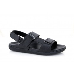 ANDRY LH2174