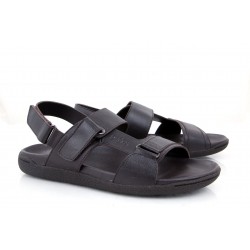 ANDRY LH2175