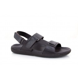 ANDRY LH2175